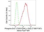 Phospho-ERK1/ERK2 (Thr202, Tyr204, Thr185, Tyr187) Antibody in Flow Cytometry (Flow)