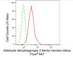 ALDH2 Antibody in Flow Cytometry (Flow)