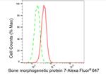 BMP-7 Antibody in Flow Cytometry (Flow)