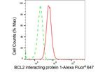 BNIP1 Antibody in Flow Cytometry (Flow)