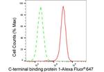 CtBP1 Antibody in Flow Cytometry (Flow)