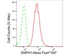 RCL Antibody in Flow Cytometry (Flow)