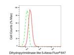 CRMP5 Antibody in Flow Cytometry (Flow)