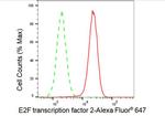 E2F2 Antibody in Flow Cytometry (Flow)