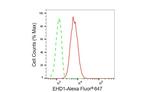 EHD1 Antibody in Flow Cytometry (Flow)