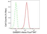 GABBR1 Antibody in Flow Cytometry (Flow)