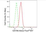 GATA6 Antibody in Flow Cytometry (Flow)