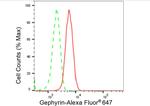 Gephyrin Antibody in Flow Cytometry (Flow)