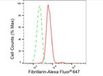 Fibrillarin Antibody in Flow Cytometry (Flow)