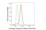 Estrogen Receptor beta Antibody in Flow Cytometry (Flow)