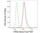 FRS2 Antibody in Flow Cytometry (Flow)