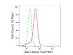 GALT Antibody in Flow Cytometry (Flow)