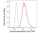 GCK Antibody in Flow Cytometry (Flow)