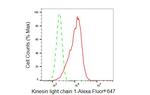 KLC1 Antibody in Flow Cytometry (Flow)