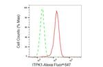 ITPK1 Antibody in Flow Cytometry (Flow)