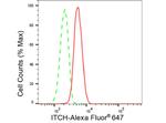 ITCH Antibody in Flow Cytometry (Flow)