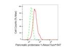 eIF3b Antibody in Flow Cytometry (Flow)