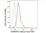 hnRNP A1 Antibody in Flow Cytometry (Flow)