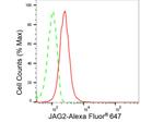 Jagged 2 Antibody in Flow Cytometry (Flow)