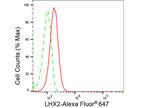 LHX2 Antibody in Flow Cytometry (Flow)