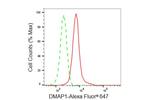 DMAP1 Antibody in Flow Cytometry (Flow)