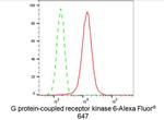 GRK6 Antibody in Flow Cytometry (Flow)