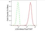 LOX Antibody in Flow Cytometry (Flow)