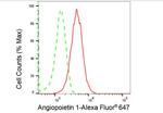 Angiopoietin 1 Antibody in Flow Cytometry (Flow)