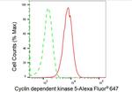 CDK5 Antibody in Flow Cytometry (Flow)