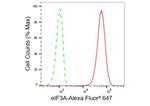 eIF3a Antibody in Flow Cytometry (Flow)