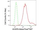 ACAP2 Antibody in Flow Cytometry (Flow)