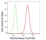 ROCK2 Antibody in Flow Cytometry (Flow)