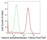 HAT1 Antibody in Flow Cytometry (Flow)