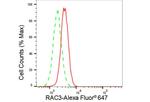 RAC3 Antibody in Flow Cytometry (Flow)