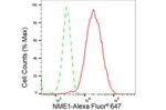 NME1 Antibody in Flow Cytometry (Flow)