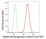 MDH2 Antibody in Flow Cytometry (Flow)