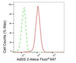 ADSS Antibody in Flow Cytometry (Flow)