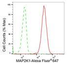 MEK1 Antibody in Flow Cytometry (Flow)