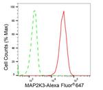 MEK3 Antibody in Flow Cytometry (Flow)