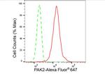 PAK2 Antibody in Flow Cytometry (Flow)