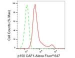 CAF1 p150 Antibody in Flow Cytometry (Flow)