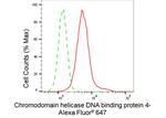 CHD4 Antibody in Flow Cytometry (Flow)