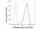 CHMP2B Antibody in Flow Cytometry (Flow)