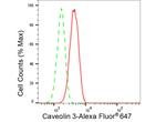 Caveolin 3 Antibody in Flow Cytometry (Flow)