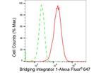 BIN1 Antibody in Flow Cytometry (Flow)