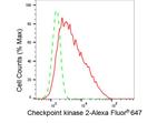 CHK2 Antibody in Flow Cytometry (Flow)