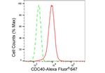 Cdc40 Antibody in Flow Cytometry (Flow)