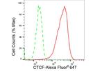 CTCF Antibody in Flow Cytometry (Flow)