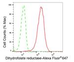 DHFR Antibody in Flow Cytometry (Flow)