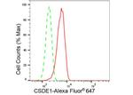 CSDE1 Antibody in Flow Cytometry (Flow)